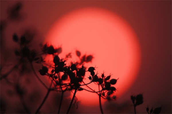 愿佛祖保佑的吉祥话 求佛祖保佑的句子