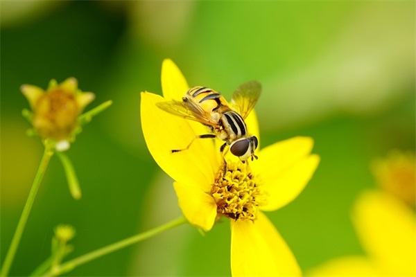 关于工作励志的句子82句