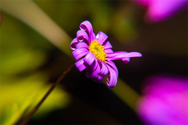 描写乡村景色的句子