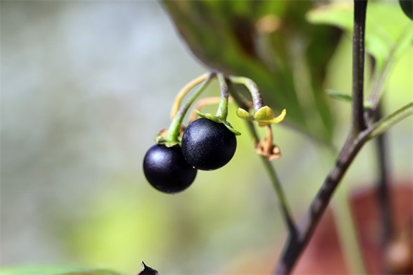 奋斗励志的句子