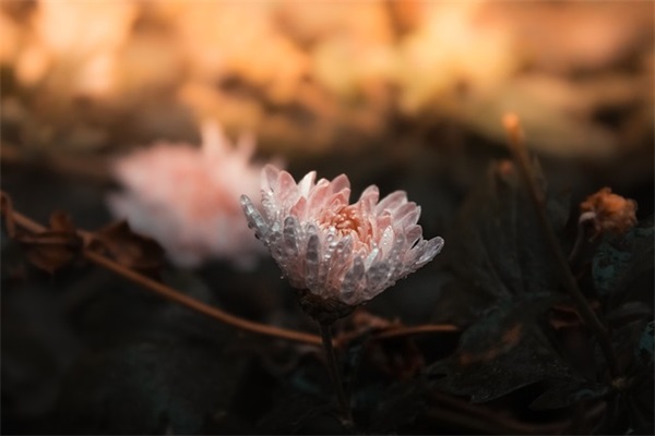 感慨时间的句子