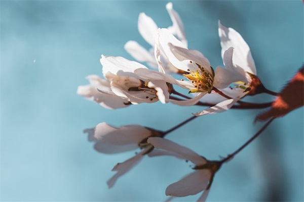 暑假结束开学的心情句子 暑假结束开学的句子