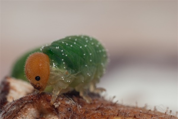 励志减肥句子92句