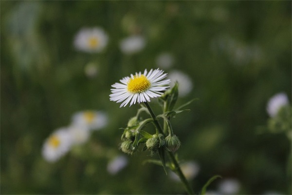 暖心短句小清新 简短文艺的句子