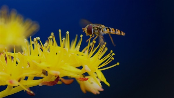 比较经典的网名(676个)