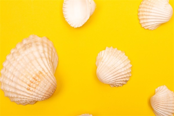 吸引人微信名字大全(优选600个)