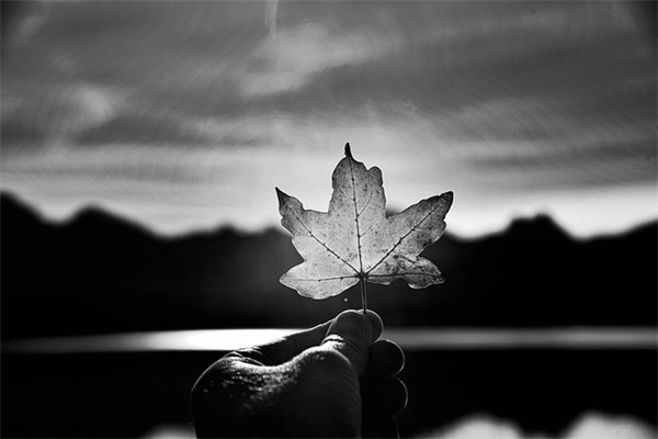 带虫虫的网名男