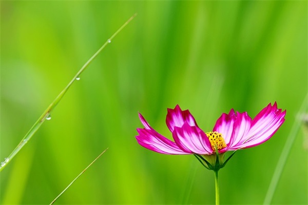 带高的网名女生微信