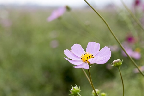 微信带爱字的网名(精选349个)
