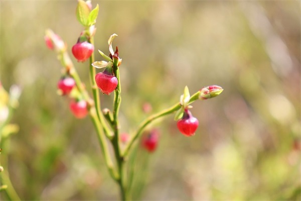 魔兽世界搞笑的角色名字大全(347个)