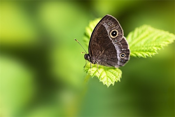 家长寄语结束语-88句