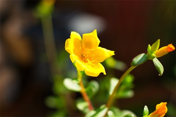 高中学生综合素质教师寄语-50句