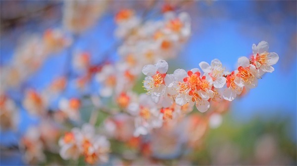 两岁宝宝生日寄语-100句