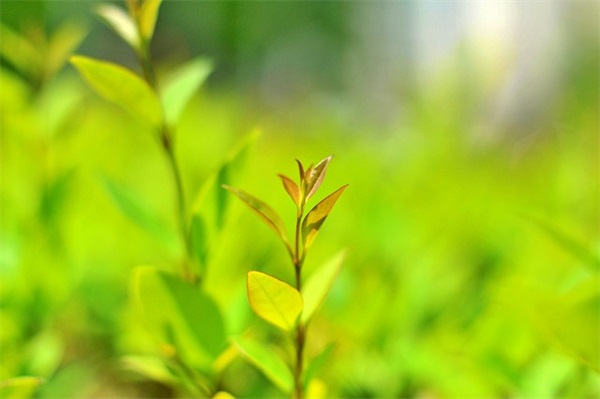 老师和孩子们分别寄语 【老师和孩子的离别感言】