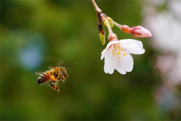 2026年新年寄语大全 【2026 新年寄语】