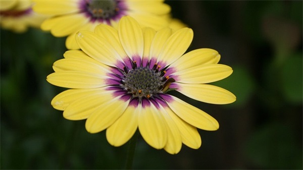 父母对孩子幼儿园毕业的寄语 【父母对孩子幼儿园毕业感言简短】