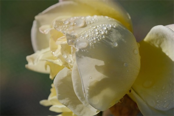 初二下学期寄语 【100句精选】