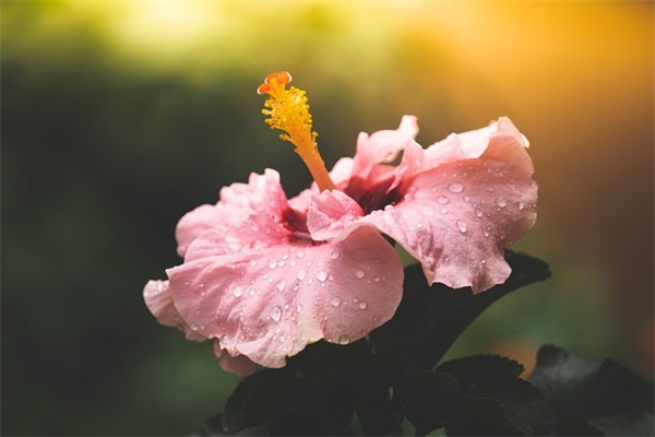 雨天心情的句子