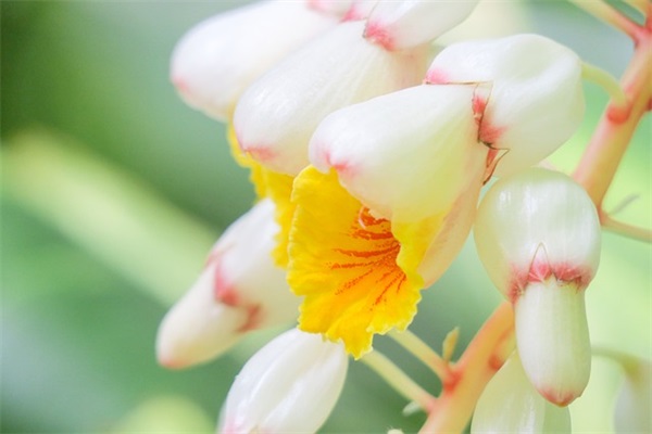 六年级毕业哭到爆的句 关于毕业的句子简短伤感