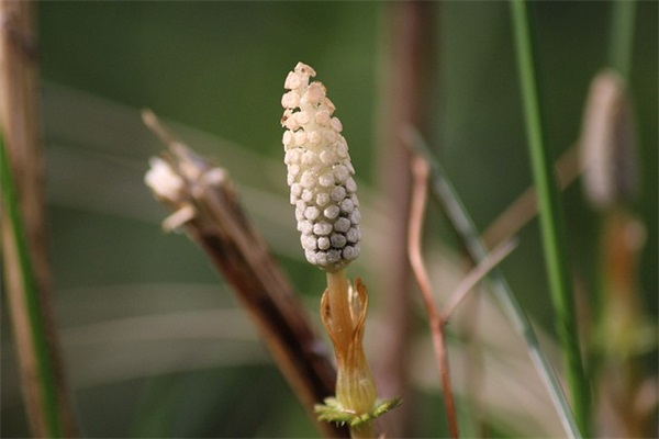 祝福老板赚大钱的句子 祝福老板发财的句子
