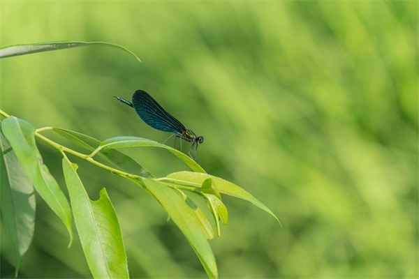 激励自己的正能量的句子