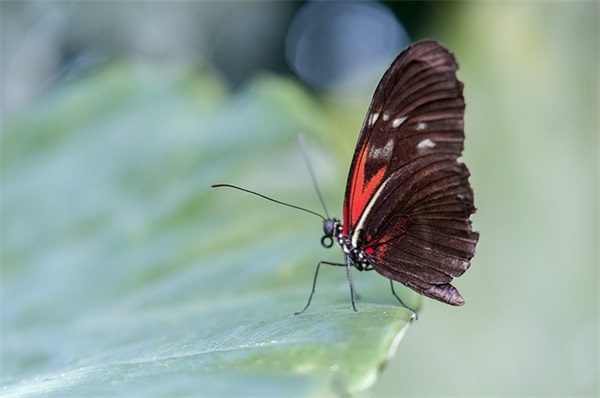 温柔文艺的游戏名字(共189个)