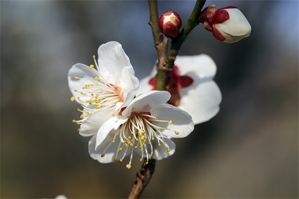 霸气4字男生网名大全(196个)