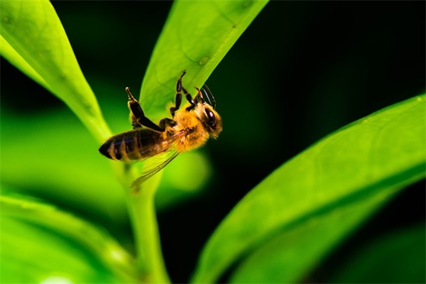 非常小清新的游戏名字(179个)
