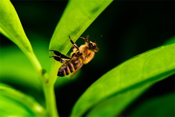 男生能上热门涨粉丝的网名(共178个)