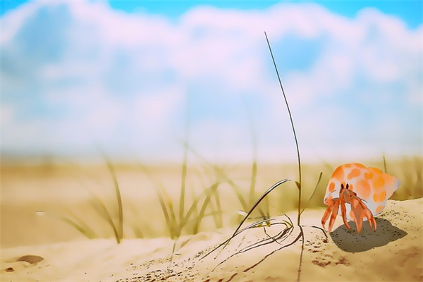 炉石传说英文名字女孩游戏昵称（霸气炉石传说英文名字女孩）