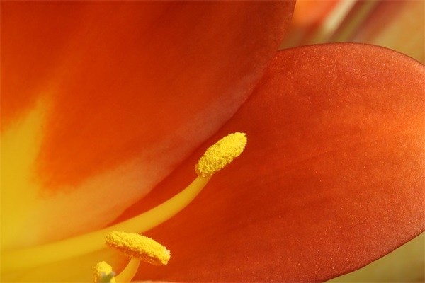 倩女幽魂可爱女生游戏名字骚气（稀少好听的倩女幽魂可爱女生游戏名字）