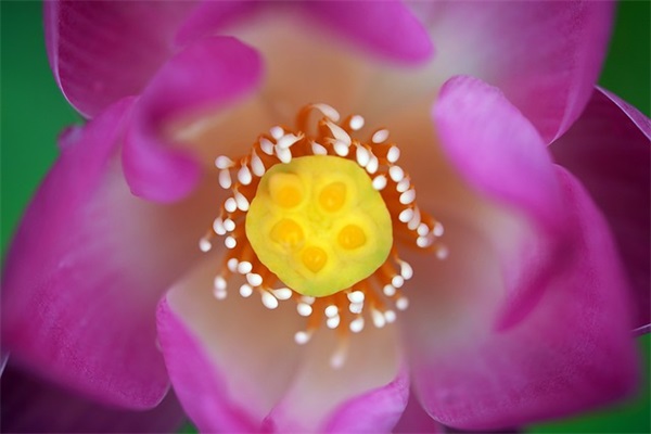 幼儿园毕业爱的寄语 【幼儿园毕业爱的寄语妈妈对宝贝说的话】