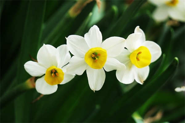 青春寄语唯美短句14岁 【青春寄语十四岁】