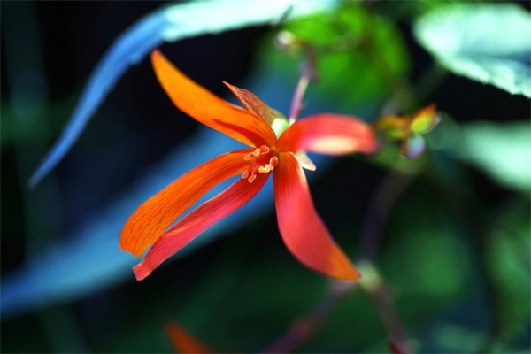 给高中学生的毕业寄语 【给高中毕业生的寄语简短】