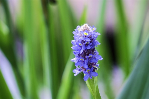 高中数学老师毕业寄语 【高中数学老师毕业寄语简短】