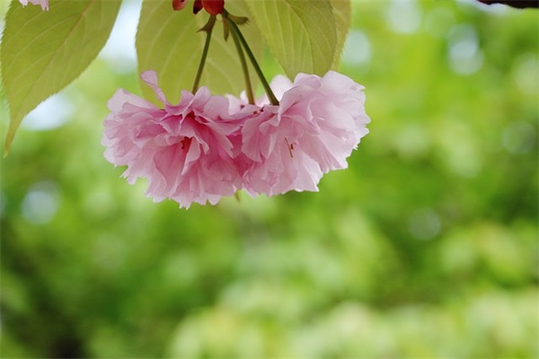 内心痛苦的句子83句