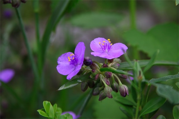 修辞手法的句子励志