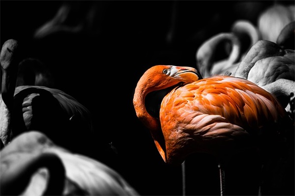 校友寄语一句话励志简短-52句