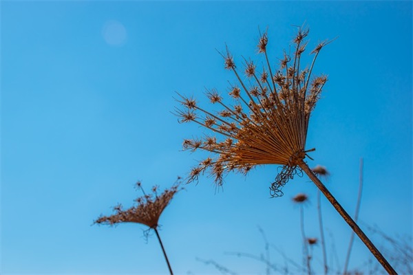 校友寄语一句话励志简短-57句