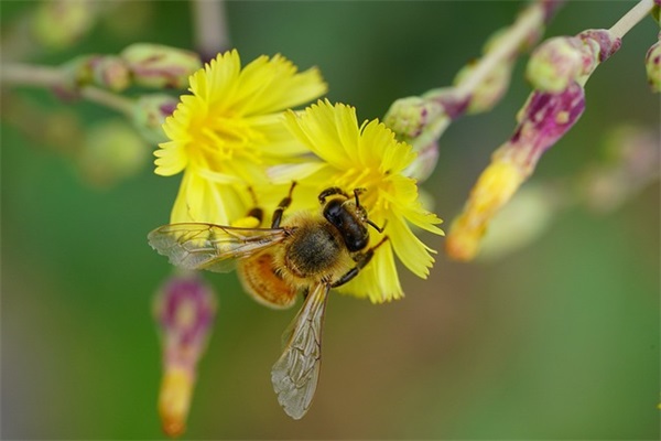 祝自己结婚二十年寄语-60句