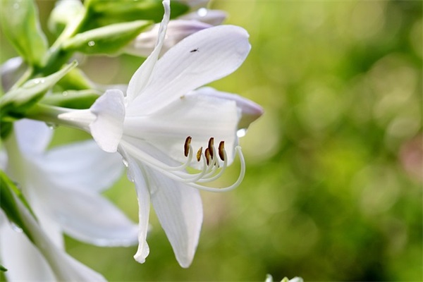 进入高中家长寄语简短-54句