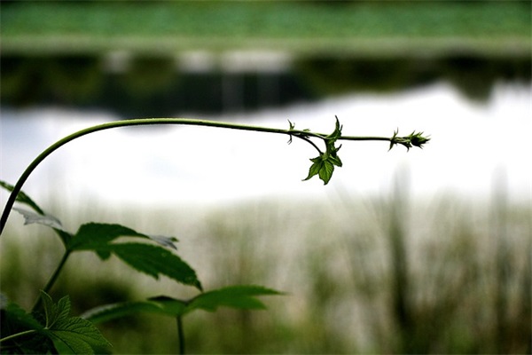 写给幼儿的成长寄语-51句