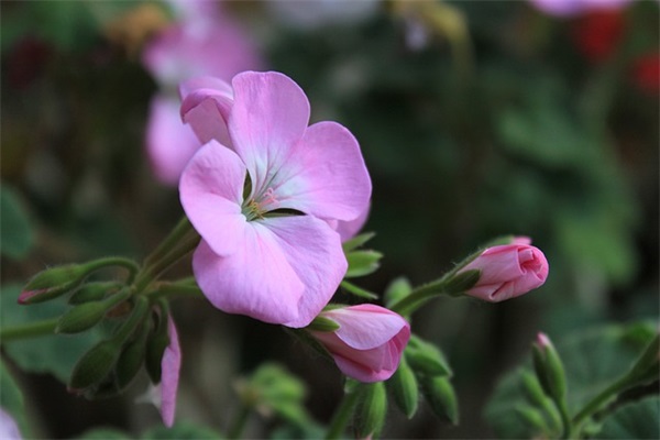 毕业典礼给同学的寄语八个字 【毕业典礼给同学的寄语八个字祝福】