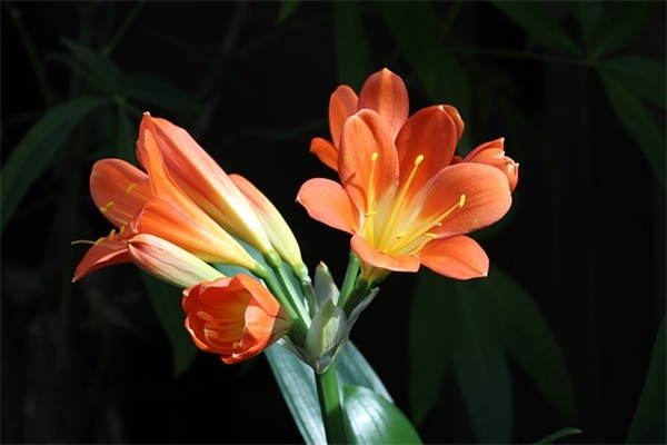 毕业温馨寄语-56句