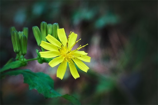 高考的寄语-53句