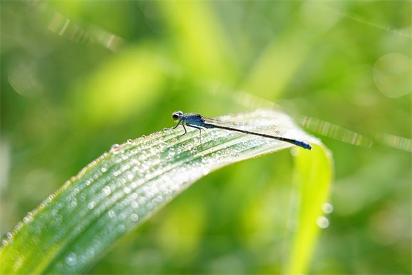 幼儿园开学寄语大全-54句