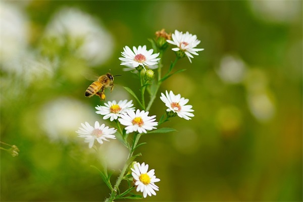 深夜伤心句子 深夜伤心流泪的句子