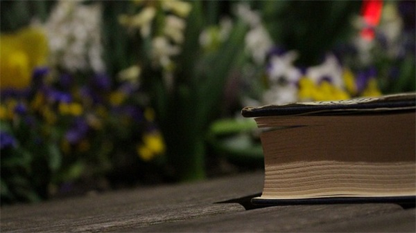 精选的奉献精神的句子大全(医生的奉献精神的句子)