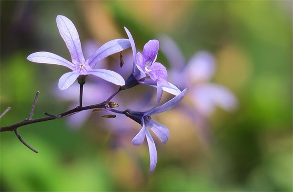 好听的女生伤感网名(优选266个)