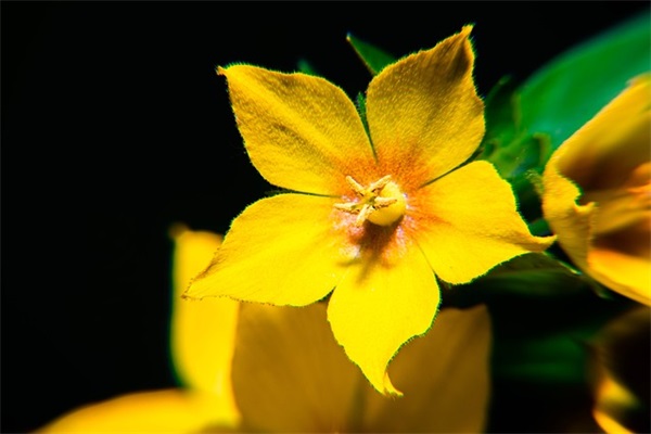 好听有涵养的男孩名字